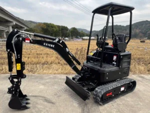 Applications of Mini Excavators in Interior Design Applications of Mini Excavators in Interior Design 1